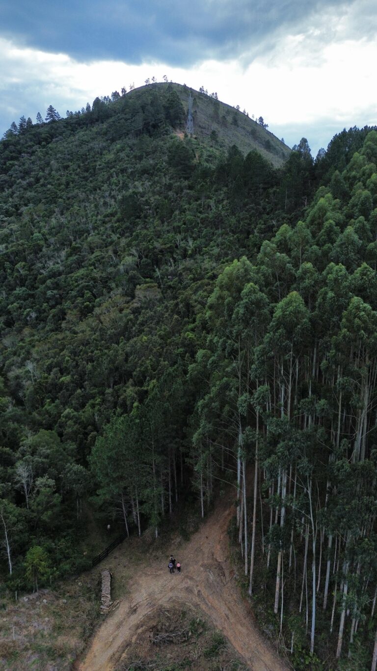 IMG-20250713-WA0008(1)