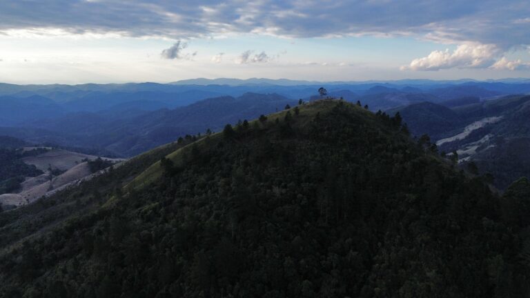 IMG-20250713-WA0017(1)